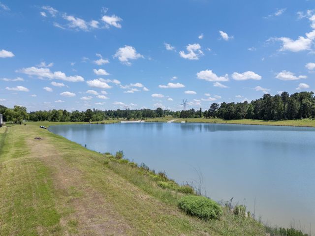 11918 W Border Oak Dr, Magnolia, TX 77354