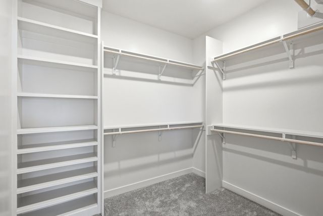 5325 SPARTINA LN, Columbia, MO 65203