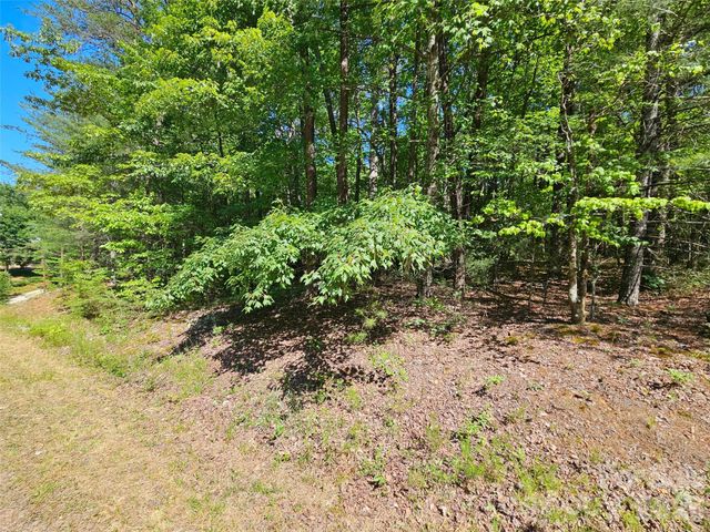 136 Doves Way 136, Lake Lure, NC 28746
