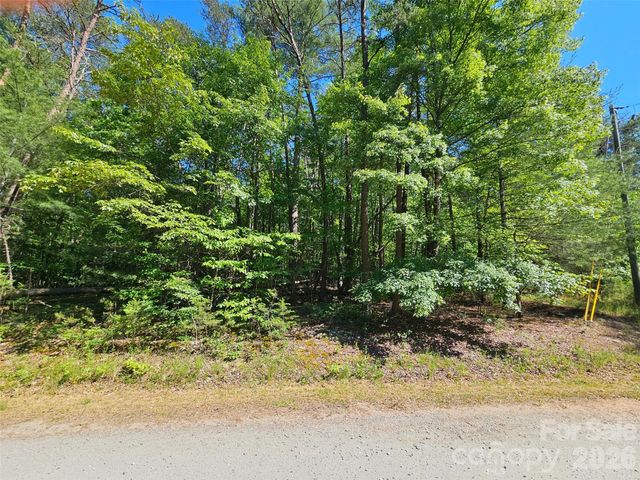 136 Doves Way 136, Lake Lure, NC 28746