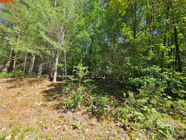 136 Doves Way 136, Lake Lure, NC 28746