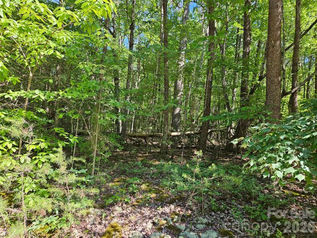 136 Doves Way 136, Lake Lure, NC 28746