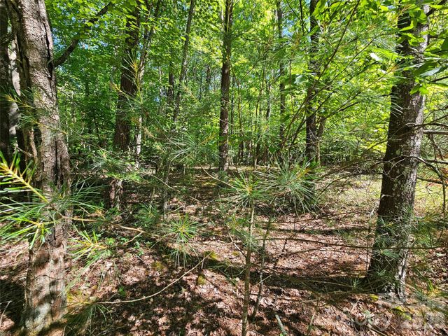 136 Doves Way 136, Lake Lure, NC 28746