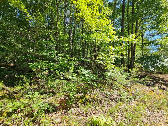 136 Doves Way 136, Lake Lure, NC 28746