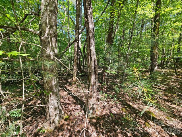 136 Doves Way 136, Lake Lure, NC 28746