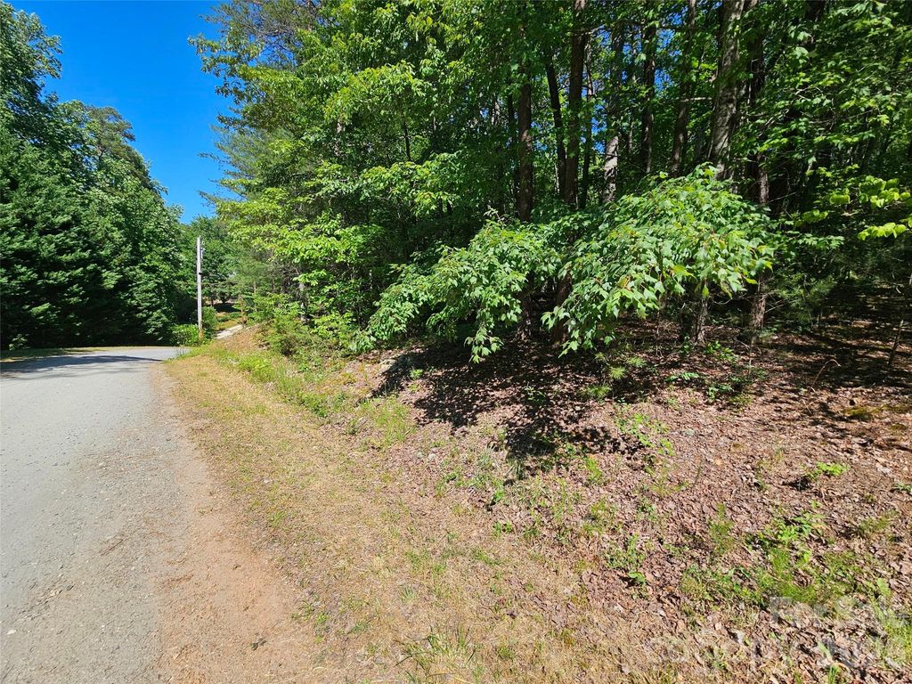 136 Doves Way 136, Lake Lure, NC 28746