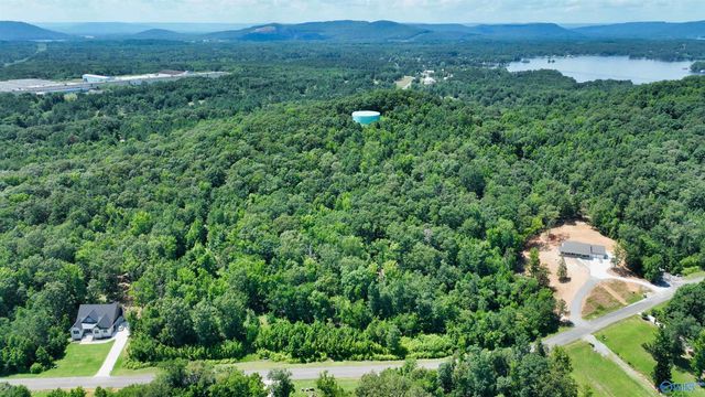 166 Lookout Mountain Drive, Scottsboro, AL 35769
