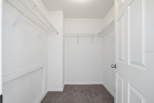 9506 CITRUS GLEN PLACE 9506, Tampa, FL 33618