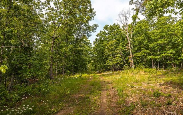 72451 Highway 21, Van Buren, MO 63965