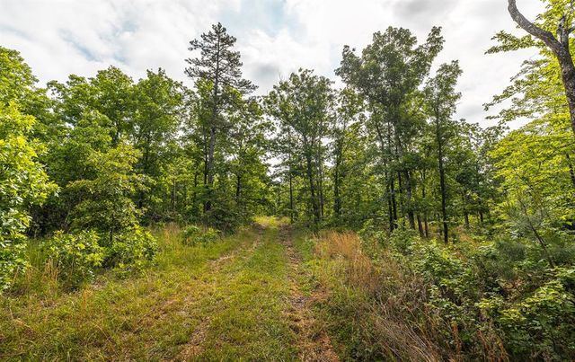 72451 Highway 21, Van Buren, MO 63965