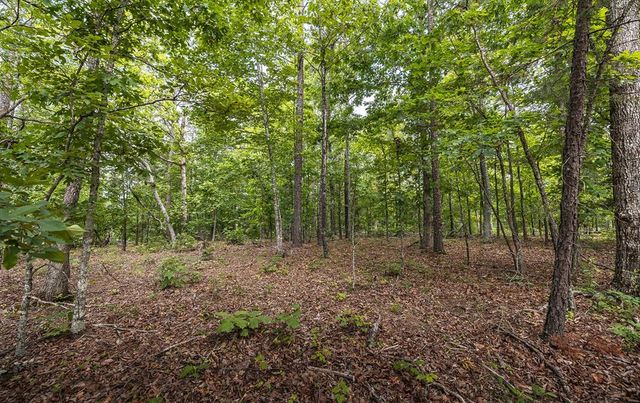 72451 Highway 21, Van Buren, MO 63965
