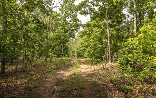 72451 Highway 21, Van Buren, MO 63965