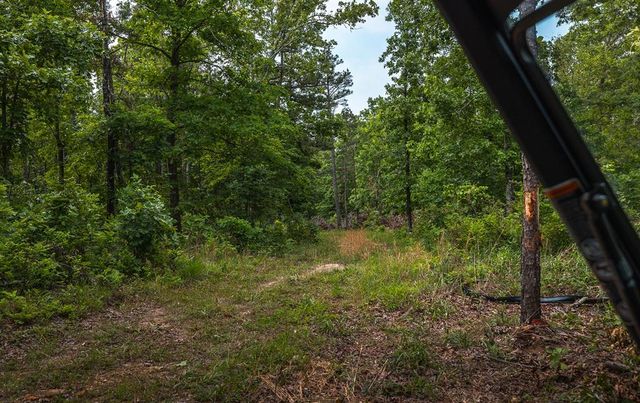 72451 Highway 21, Van Buren, MO 63965