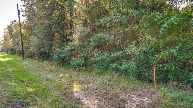TBD 25 Timber Grove, Livingston, TX 77351
