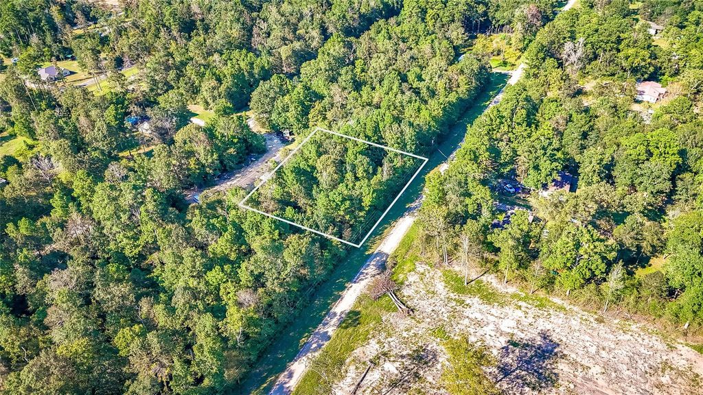 TBD 25 Timber Grove, Livingston, TX 77351