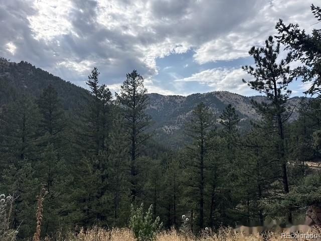 397 Glendale Gulch Rd, Jamestown, CO 80455