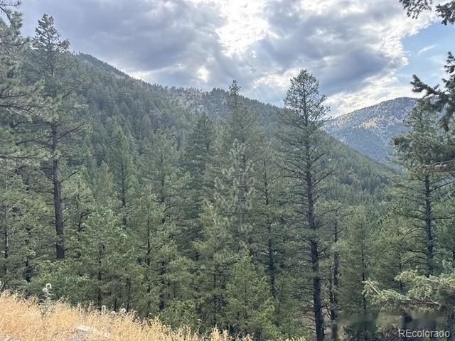 397 Glendale Gulch Rd, Jamestown, CO 80455