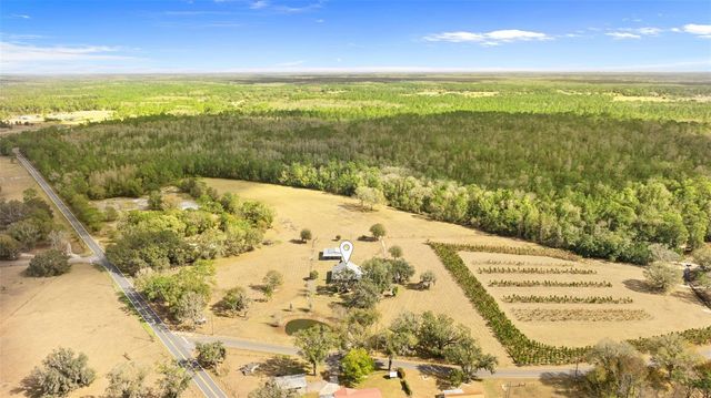 17620 POYNER ROAD N, Polk City, FL 33868