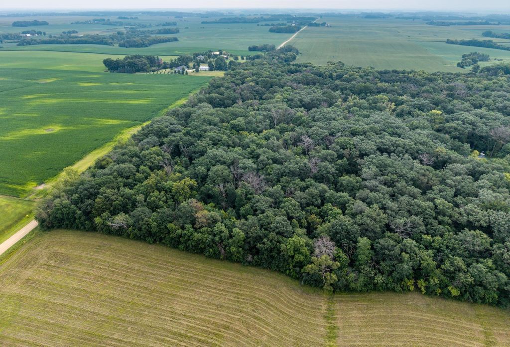 TBD 265th Street, Eureka Twp, MN 55024 — photo 2