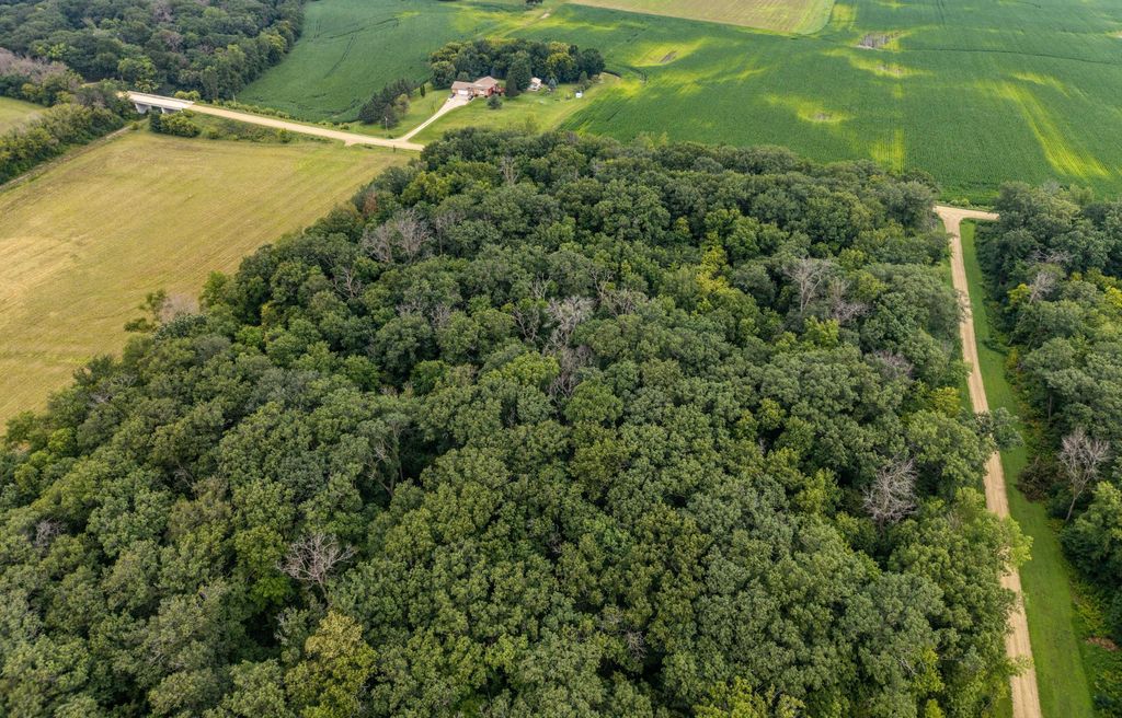 TBD 265th Street, Eureka Twp, MN 55024 — photo 3