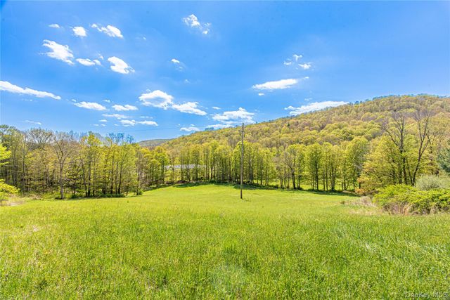 4569-4577 Rt-199, Millerton, NY 12546