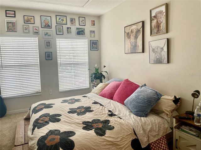 646 NORFOLK STREET, Dunedin, FL 34698