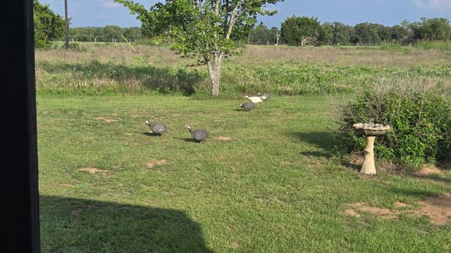 114 Speir LN B, Elgin, TX 78621