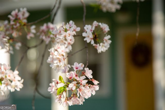 1739 Lyle Avenue, College Park, GA 30337