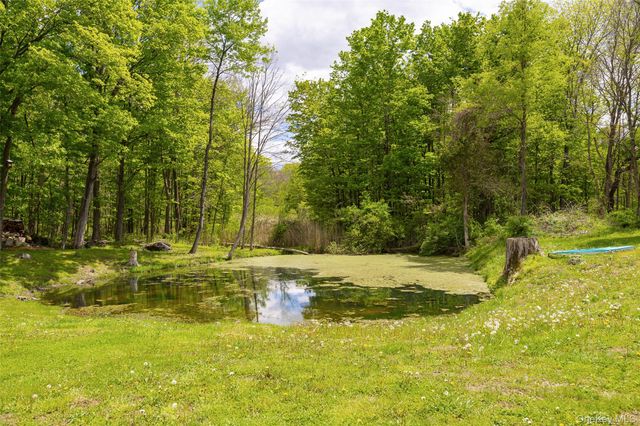 175 Nevis Road, Tivoli, NY 12583