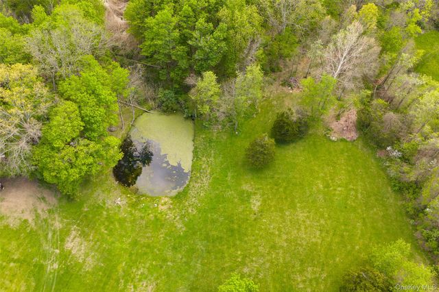 175 Nevis Road, Tivoli, NY 12583