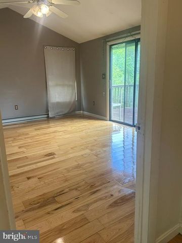 431 HOLLY RIDGE RD, Mount Jackson, VA 22842