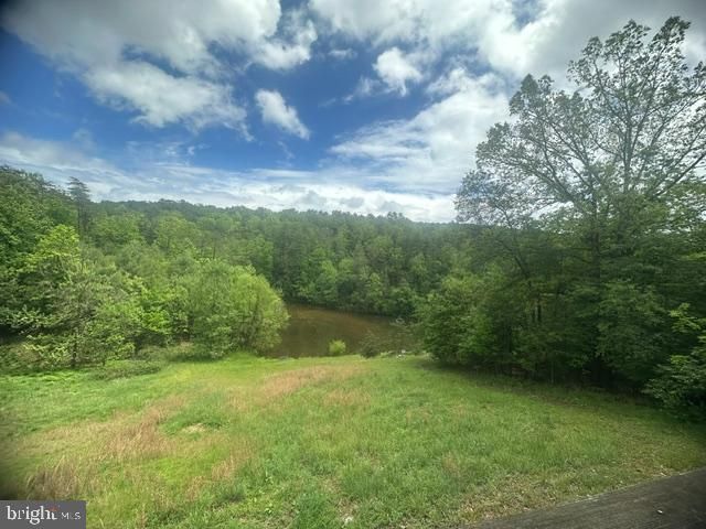 431 HOLLY RIDGE RD, Mount Jackson, VA 22842