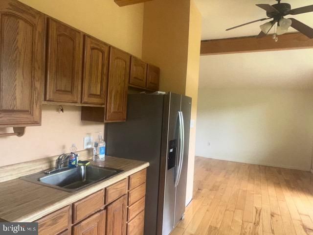 431 HOLLY RIDGE RD, Mount Jackson, VA 22842