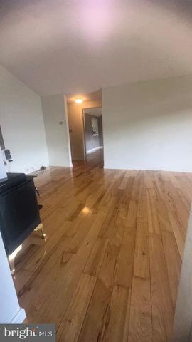 431 HOLLY RIDGE RD, Mount Jackson, VA 22842