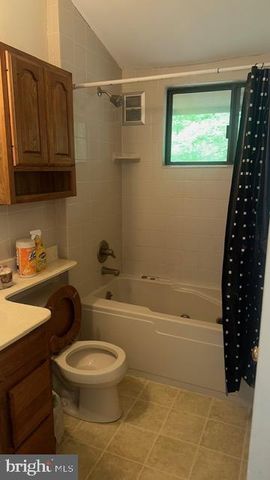 431 HOLLY RIDGE RD, Mount Jackson, VA 22842