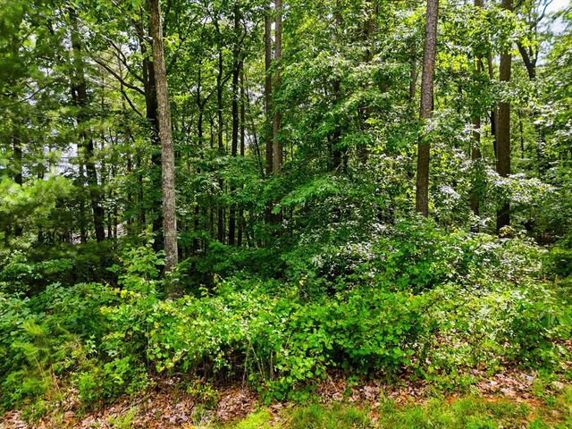 Lot 11 Weeks Drive, Ellijay, GA 30540