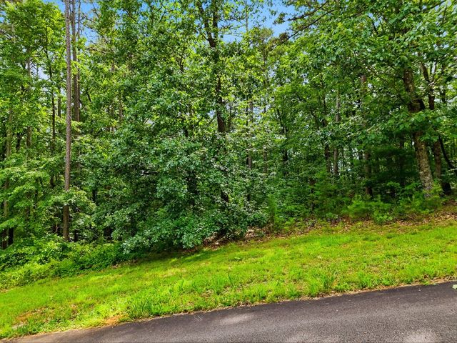 Lot 11 Weeks Drive, Ellijay, GA 30540