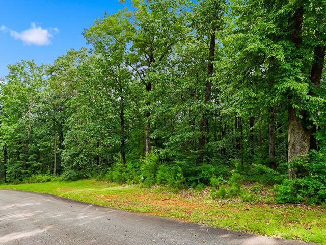Lot 11 Weeks Drive, Ellijay, GA 30540