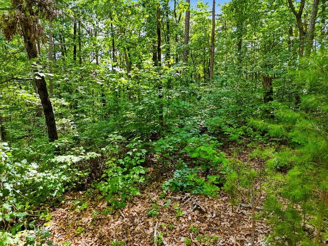 Lot 11 Weeks Drive, Ellijay, GA 30540
