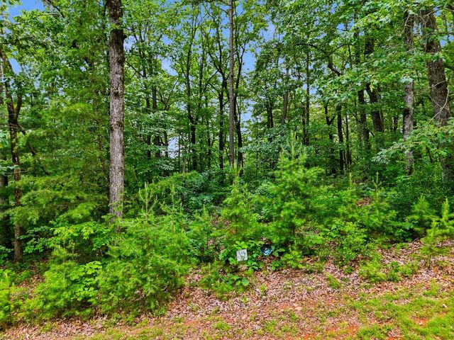 Lot 11 Weeks Drive, Ellijay, GA 30540