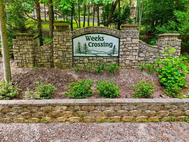 Lot 11 Weeks Drive, Ellijay, GA 30540