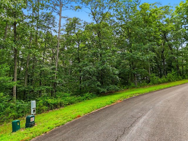 Lot 11 Weeks Drive, Ellijay, GA 30540