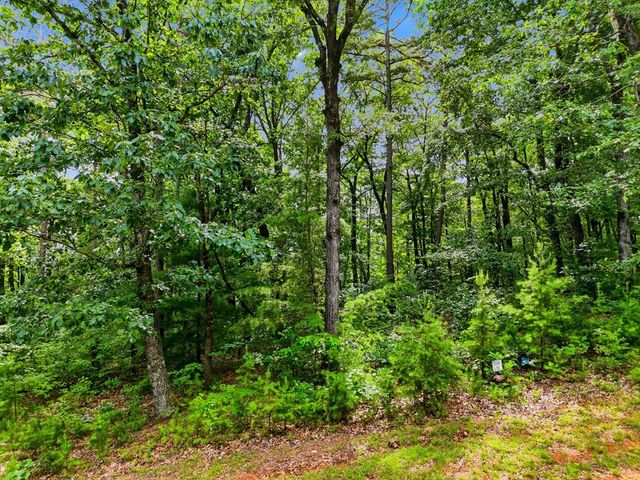 Lot 11 Weeks Drive, Ellijay, GA 30540