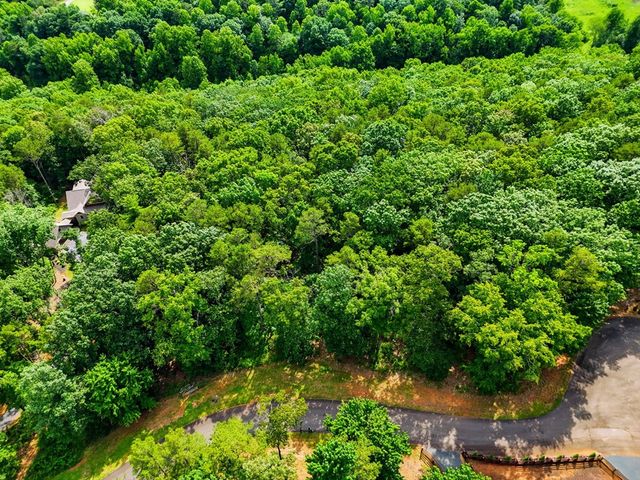 Lot 11 Weeks Drive, Ellijay, GA 30540