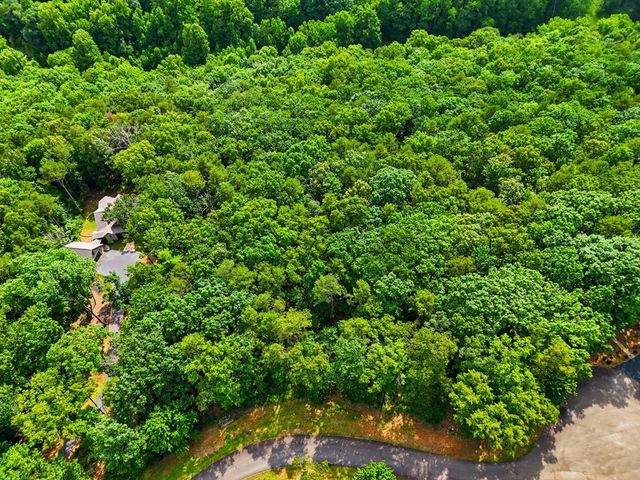 Lot 11 Weeks Drive, Ellijay, GA 30540