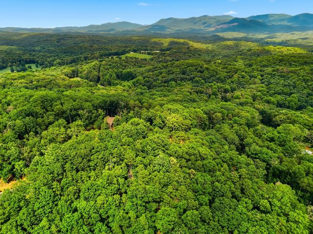 Lot 11 Weeks Drive, Ellijay, GA 30540