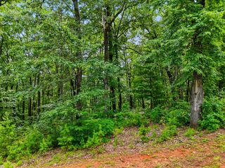 Lot 11 Weeks Drive, Ellijay, GA 30540