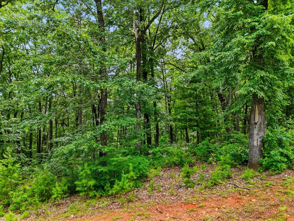 Lot 11 Weeks Drive, Ellijay, GA 30540