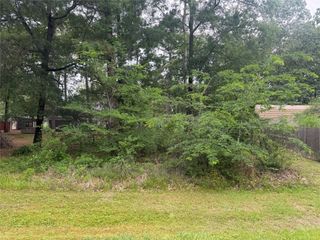 125 Trinidad Lane, Point Blank, TX 77364