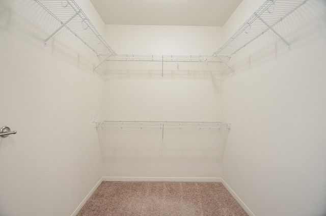 10531 Logger Pine Trail, Houston, TX 77088